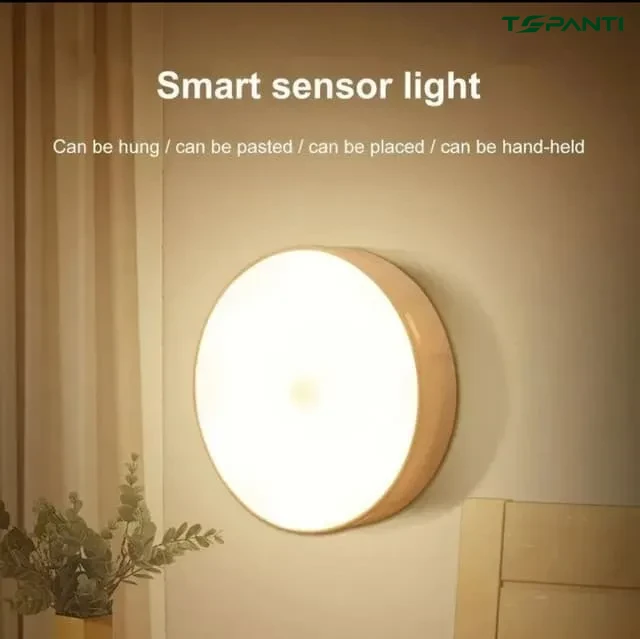 Motion Sensor LED Light