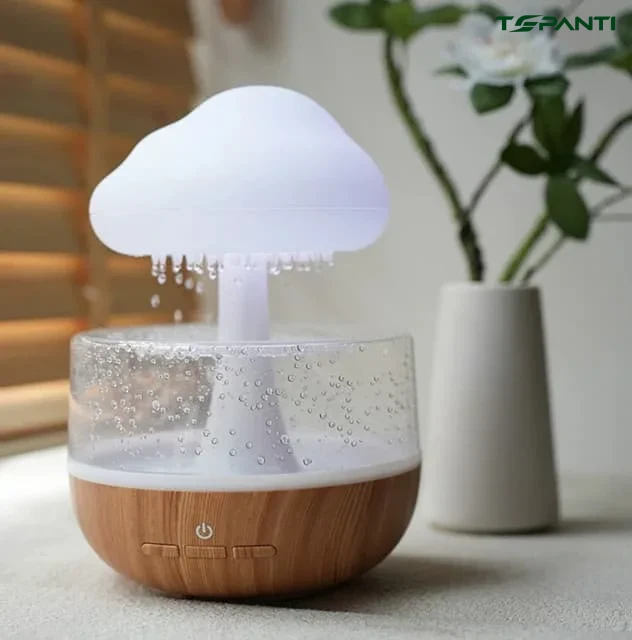 Rain Cloud Night Light Humidifier