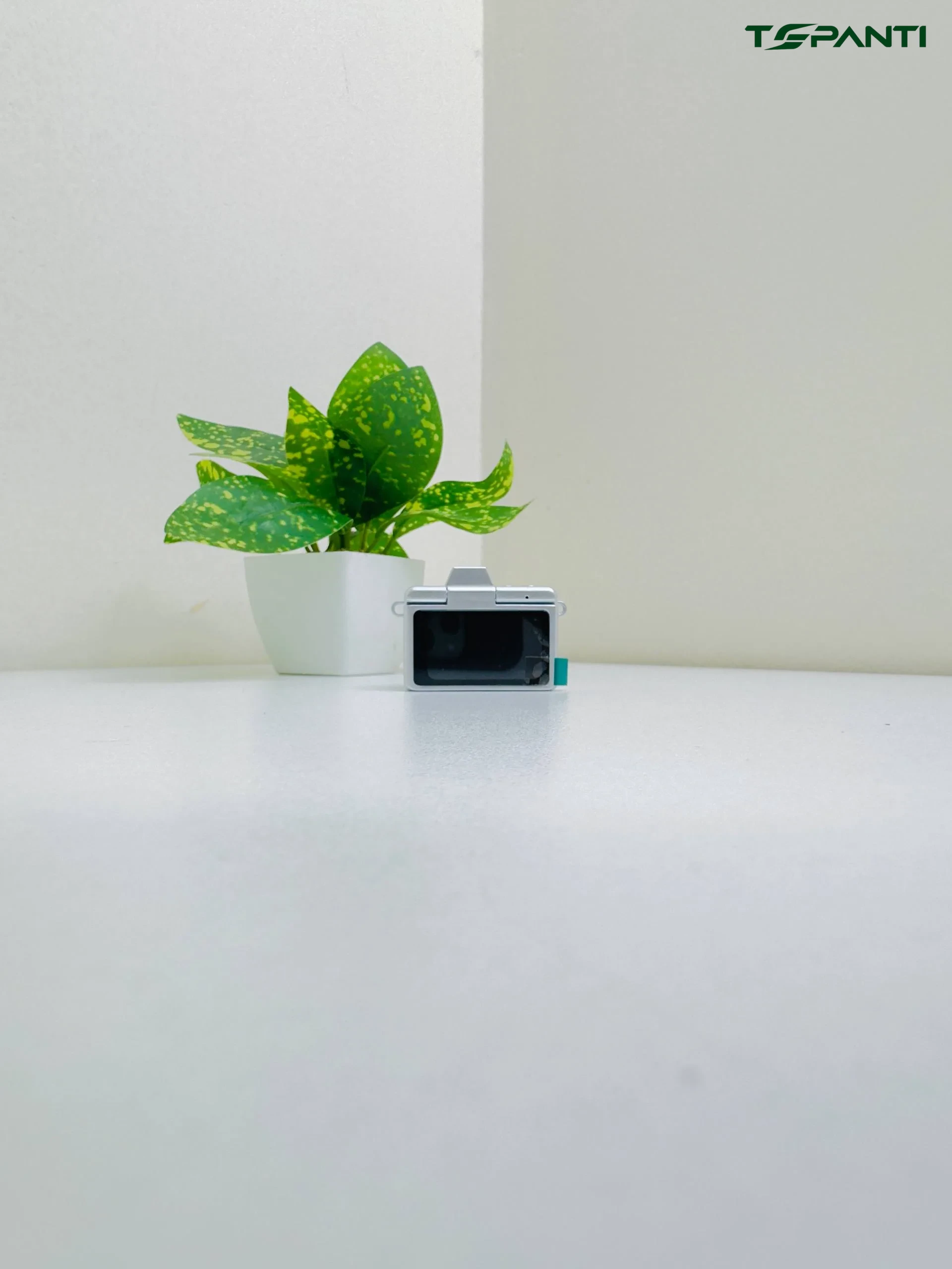Mini Flip Digital Camera LK-027
